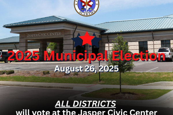 2025 municipal election 