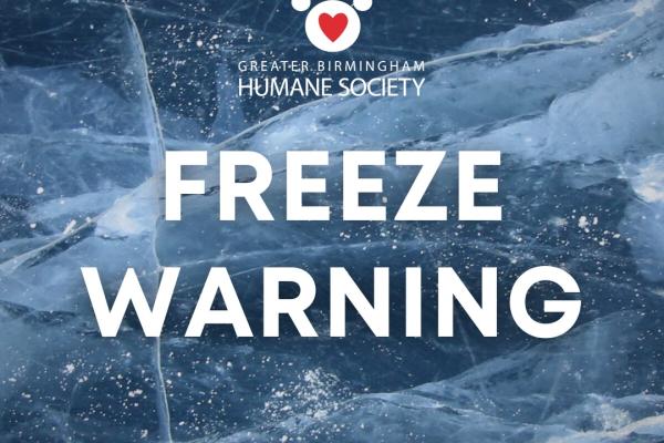freeze warning - gbhs