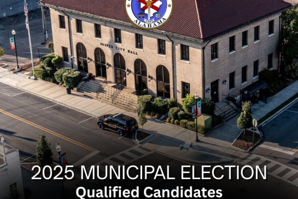 2025 municipal election 