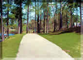 Penn Woods Walking Track