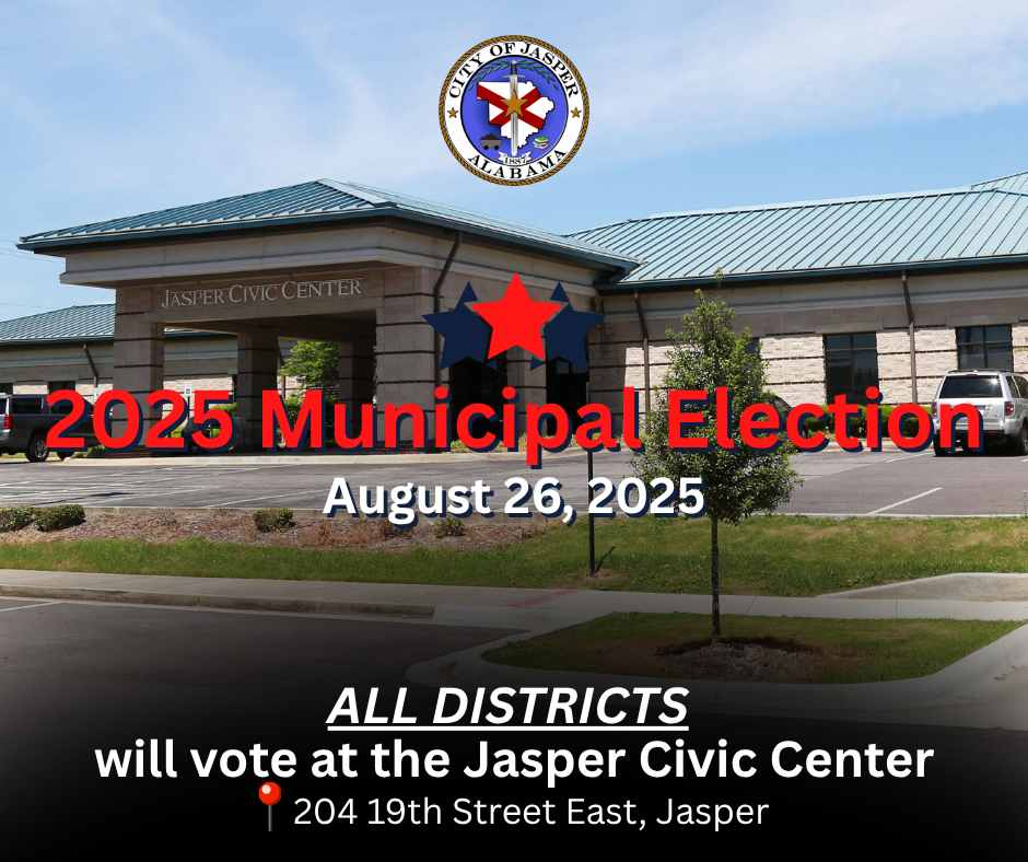 2025 municipal election 