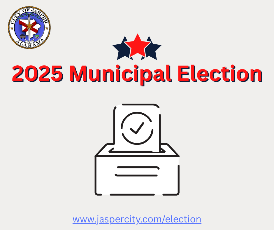 2025 municipal election 