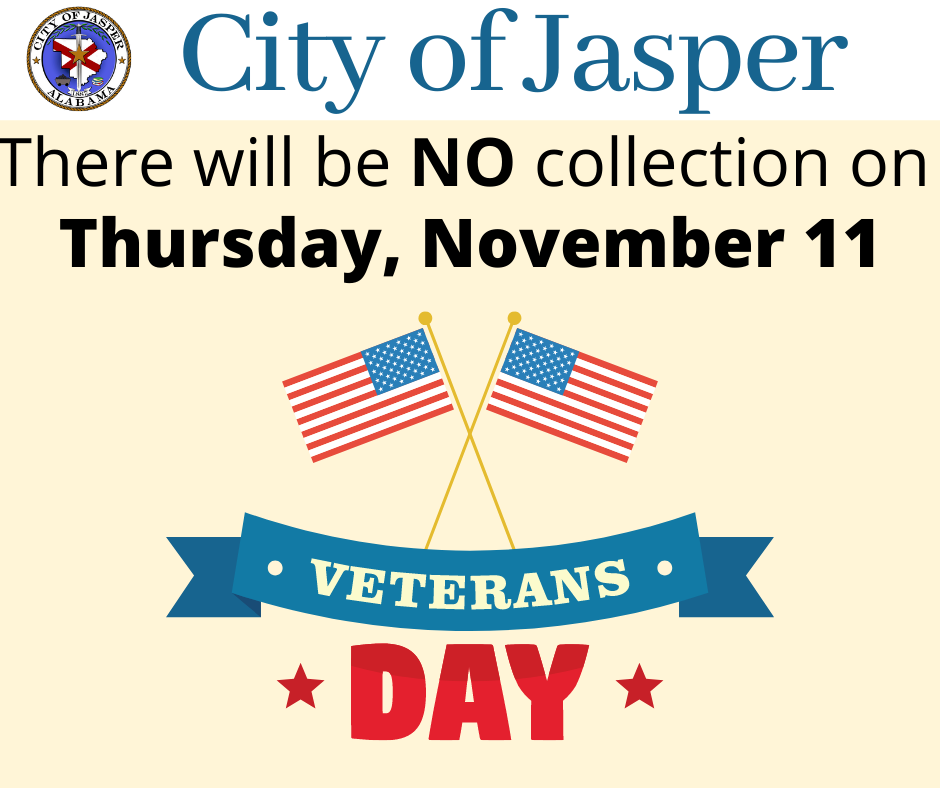 Trash Pickup Veterans Day 2024 Erinn Rosemary